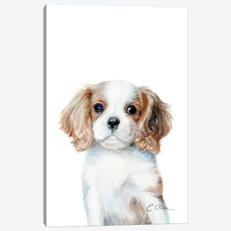 King Charles Cavalier Spaniel Puppy Canvas Print #WLU44} by Watercolor Luv Canvas Print