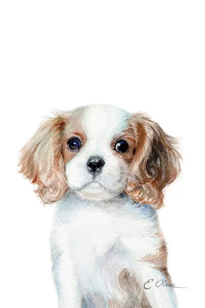Cavalier King Charles Spaniels: King Charles Cavalier Spaniel Puppy by Watercolor Luv