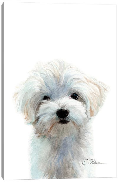 Maltese Puppy Canvas Art Print - Neutrals