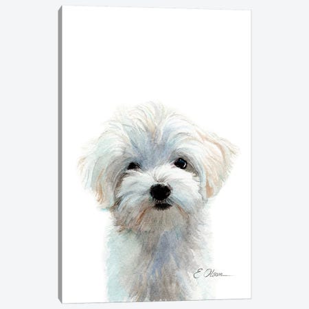 Maltese Puppy Canvas Print #WLU47} by Watercolor Luv Canvas Art Print
