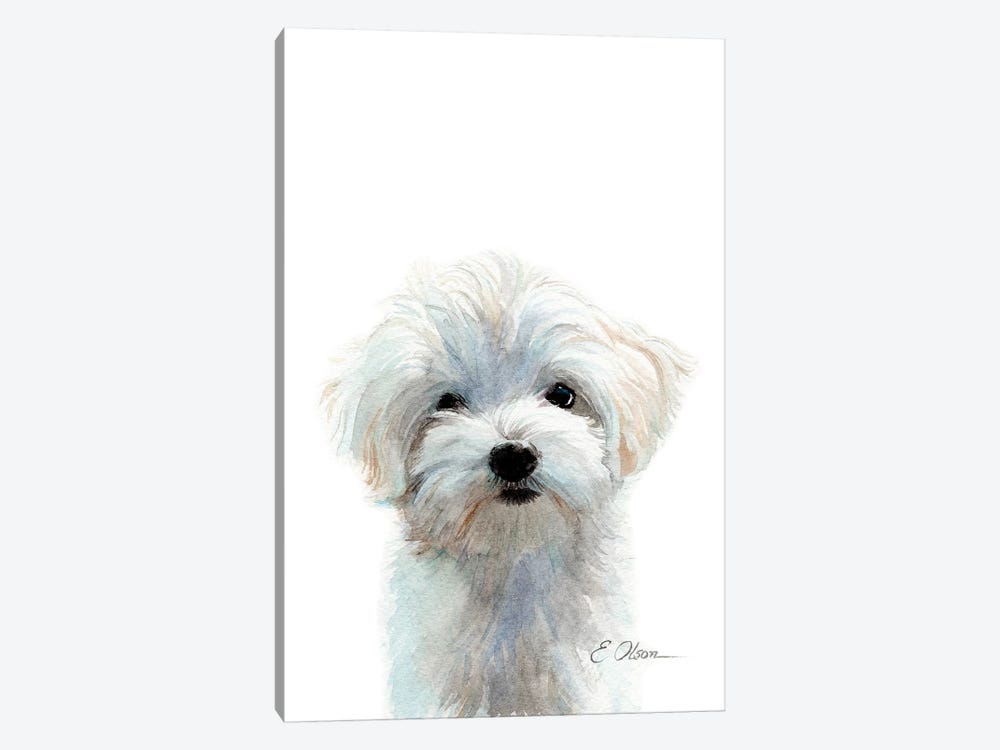 Maltese Puppy by Watercolor Luv 1-piece Canvas Print