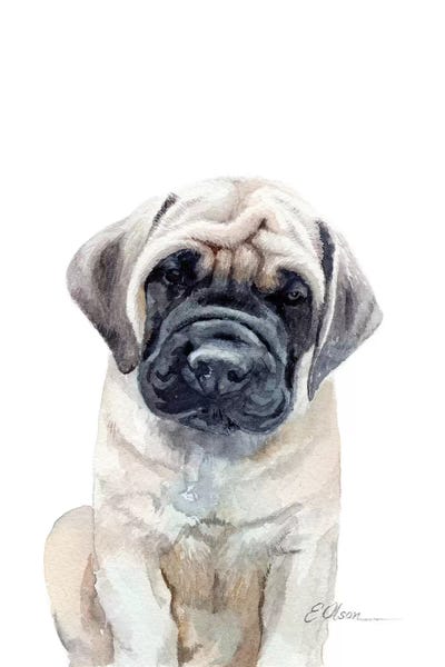 Mastiff Puppy by Watercolor Luv art print