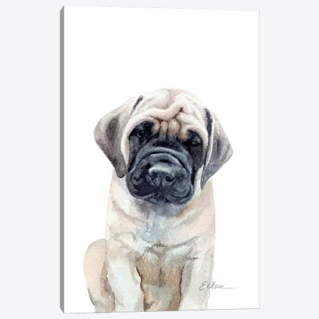 Mastiff Puppy Canvas Print #WLU48} by Watercolor Luv Canvas Artwork