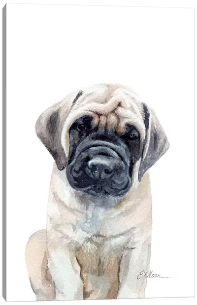 Mastiff Puppy Canvas Art Print - Watercolor Luv