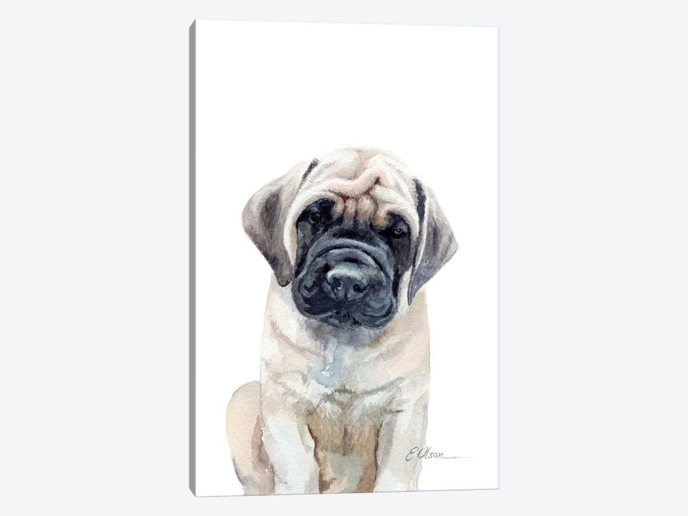 Mastiff Puppy 1-piece Canvas Art