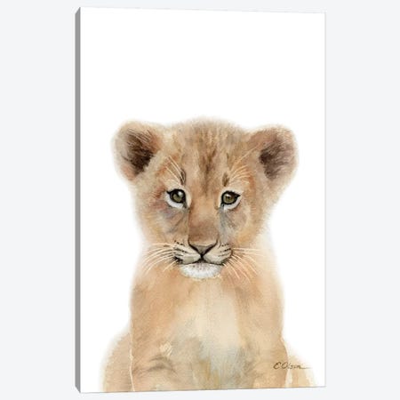 Baby Lion Cub Canvas Print #WLU4} by Watercolor Luv Canvas Wall Art