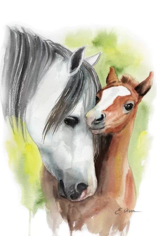 Mother and Baby Horses