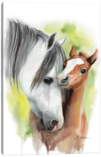 Mother and Baby Horses Canvas Art Print - Watercolor Luv