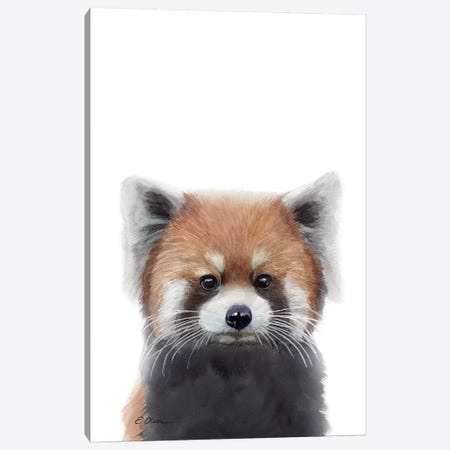 Baby Red Panda Canvas Print #WLU5} by Watercolor Luv Canvas Wall Art