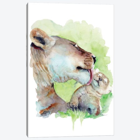 Mother and Baby Lions Canvas Print #WLU60} by Watercolor Luv Canvas Wall Art