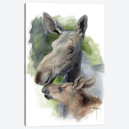 Mother and Baby Moose Canvas Print #WLU61} by Watercolor Luv Canvas Art