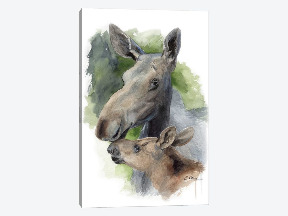 Mother and Baby Moose by Watercolor Luv 1-piece Canvas Art Print