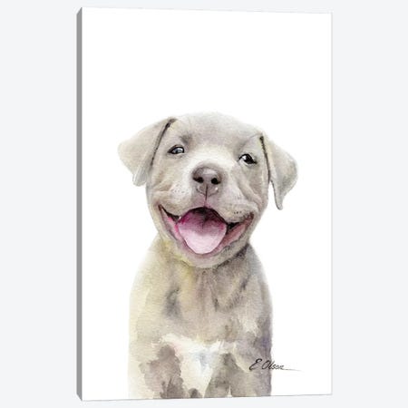 Pitt Bull Puppy Canvas Print #WLU65} by Watercolor Luv Canvas Print