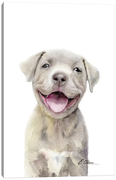 Pitt Bull Puppy Canvas Art Print - Pit Bull Art