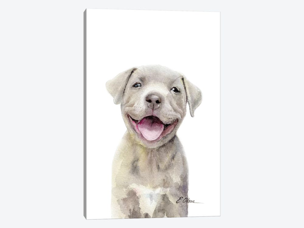Pitt Bull Puppy by Watercolor Luv 1-piece Canvas Art Print