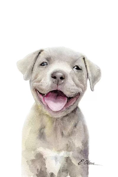 Puppies: Pitt Bull Puppy by Watercolor Luv