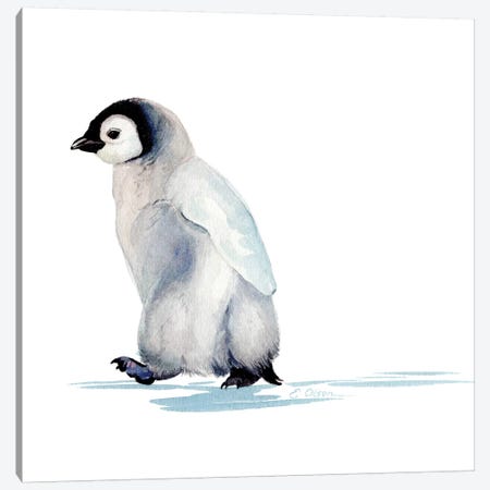 Polar Baby Penguin Canvas Print #WLU66} by Watercolor Luv Art Print