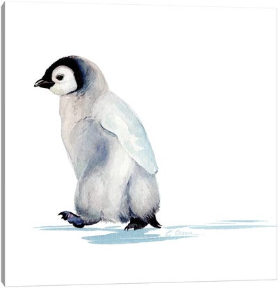 Polar Baby Penguin Canvas Art Print - Penguin Art