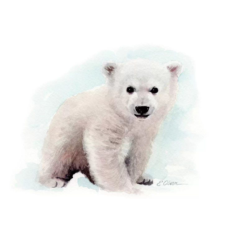 Polar Bear Cub