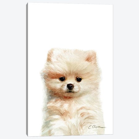 Pomeranian Puppy Canvas Print #WLU68} by Watercolor Luv Canvas Art