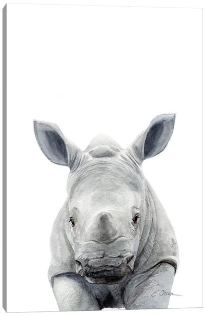 Baby Rhinceros Canvas Art Print - Baby Animal Art