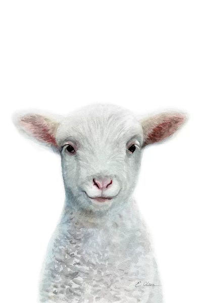 Baby Sheep by Watercolor Luv gallery poster