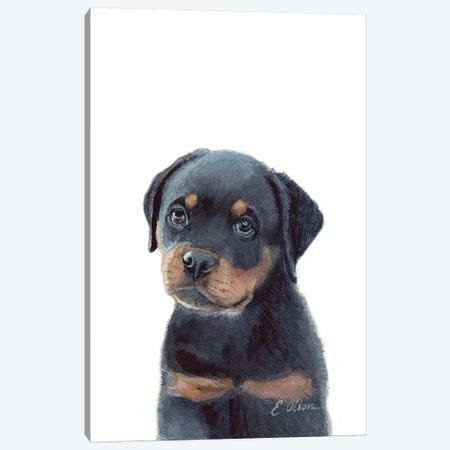 Rottweiler Puppy Canvas Print #WLU70} by Watercolor Luv Art Print