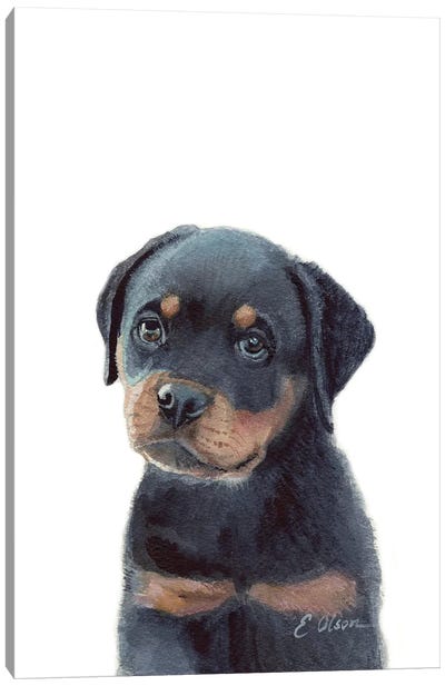 Rottweiler Puppy Canvas Art Print - Rottweiler Art