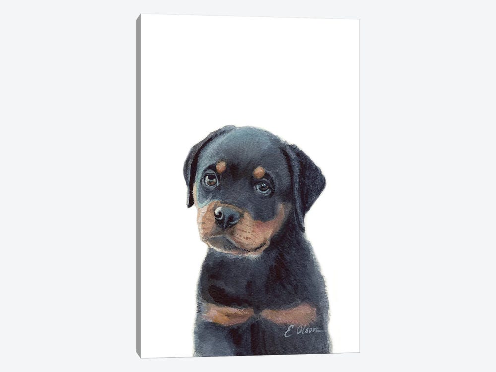 Rottweiler Puppy by Watercolor Luv 1-piece Canvas Art Print