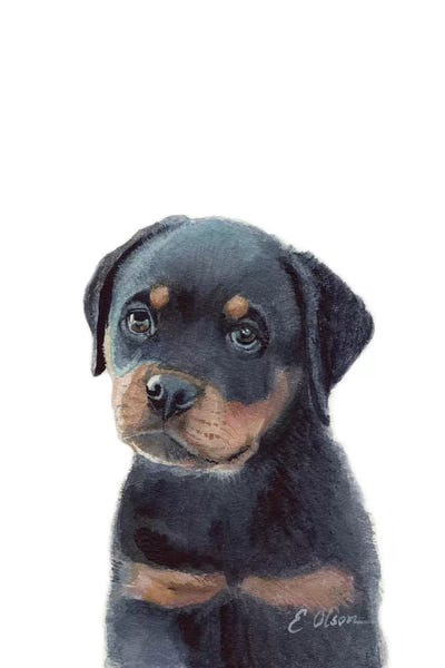 Rottweilers: Rottweiler Puppy by Watercolor Luv