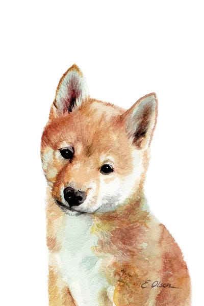 Shiba Inu Puppy by Watercolor Luv art print
