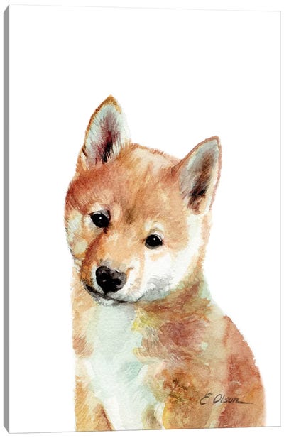 Shiba Inu Puppy Canvas Art Print - Watercolor Luv