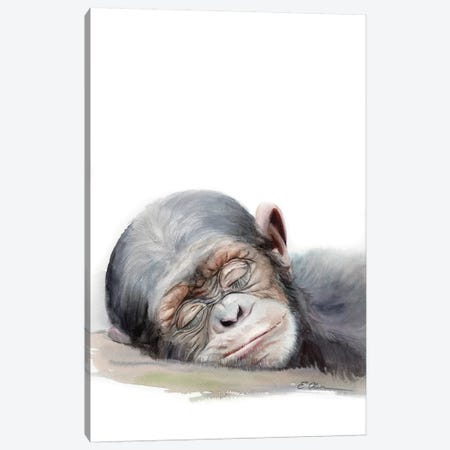 Sleeping Baby Chimpanzee Canvas Print #WLU73} by Watercolor Luv Canvas Print
