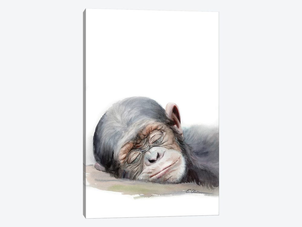 Sleeping Baby Chimpanzee by Watercolor Luv 1-piece Canvas Wall Art