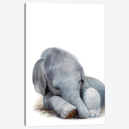 Sleeping Baby Elephant Canvas Print #WLU74} by Watercolor Luv Canvas Artwork