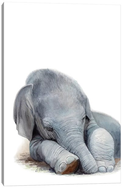 Sleeping Baby Elephant Canvas Art Print - Elephant Art