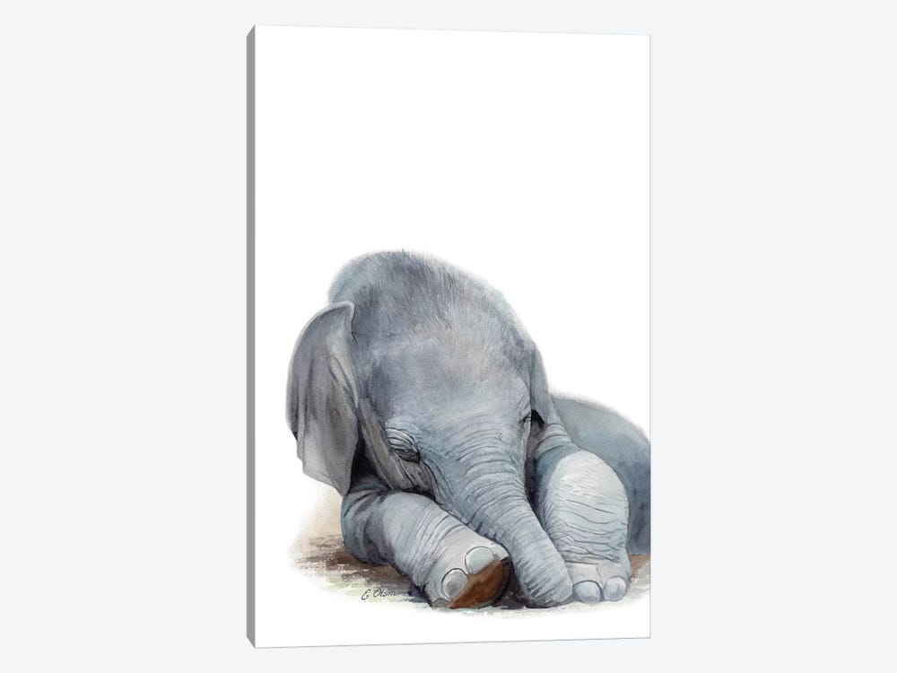 Sleeping Baby Elephant by Watercolor Luv 1-piece Canvas Art Print