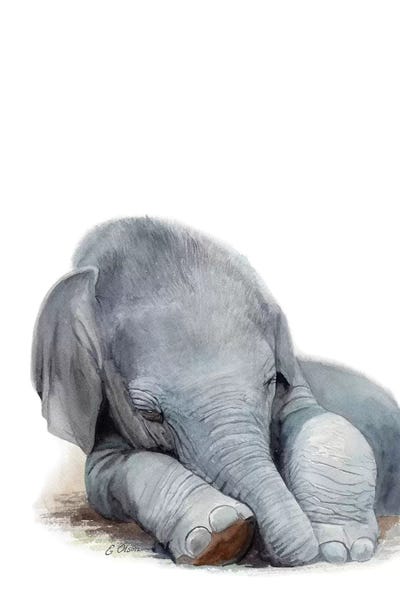Baby Animals: Sleeping Baby Elephant by Watercolor Luv