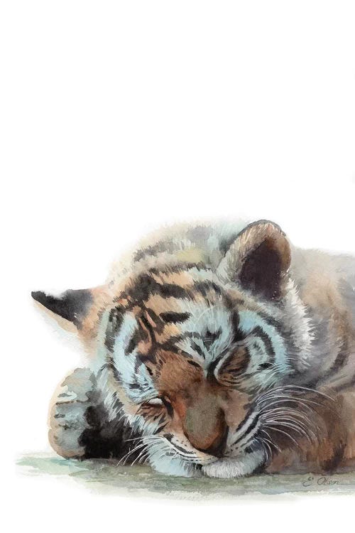 Sleeping Baby Tiger by Watercolor Luv wall art