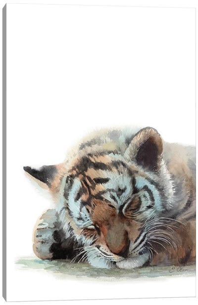 Sleeping Baby Tiger Canvas Art Print - Watercolor Luv