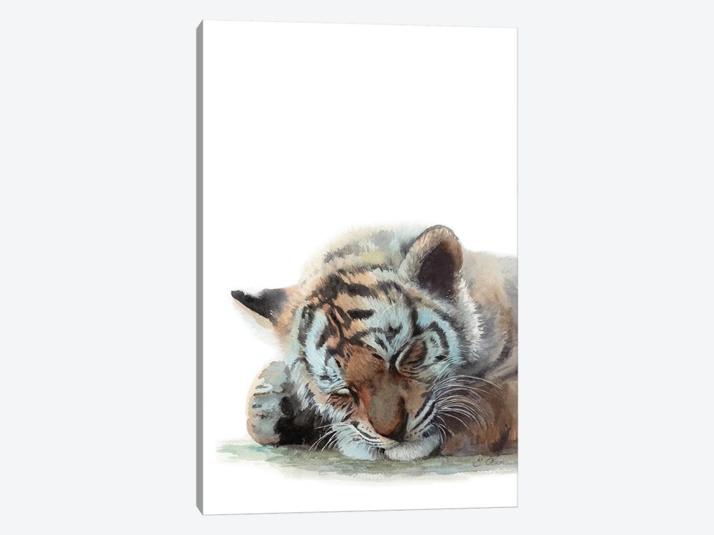 Sleeping Baby Tiger by Watercolor Luv 1-piece Canvas Art
