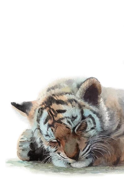 Baby Animals: Sleeping Baby Tiger by Watercolor Luv