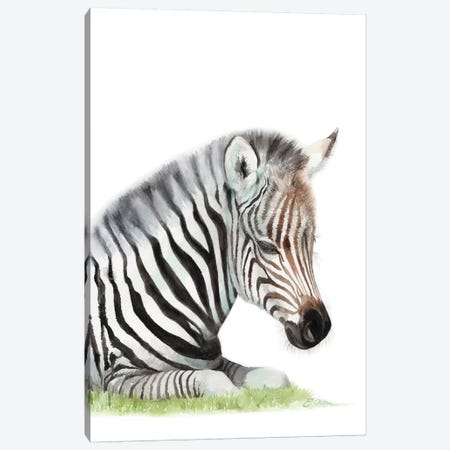 Sleeping Baby Zebra Canvas Print #WLU78} by Watercolor Luv Canvas Art Print