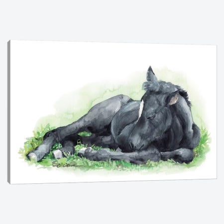 Sleeping Farm Foal Canvas Print #WLU79} by Watercolor Luv Art Print
