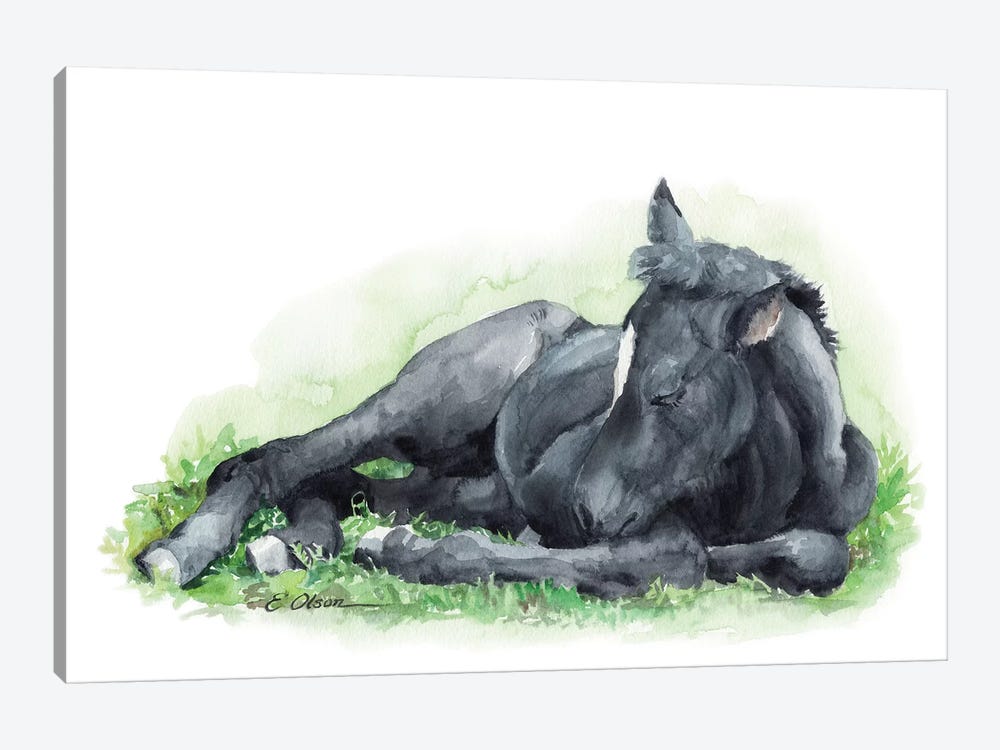 Sleeping Farm Foal by Watercolor Luv 1-piece Canvas Wall Art