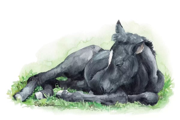 Sleeping & Napping: Sleeping Farm Foal by Watercolor Luv