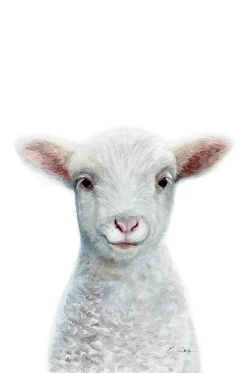 Baby Sheep by Watercolor Luv wall art