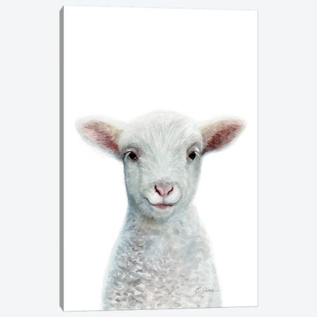 Baby Sheep Canvas Print #WLU7} by Watercolor Luv Canvas Art