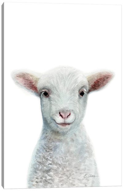 Baby Sheep Canvas Art Print - Sheep Art