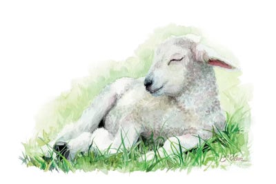 Sleeping Farm Lamb by Watercolor Luv art print
